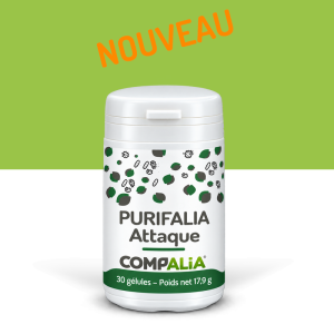 PURIFalia Attaque